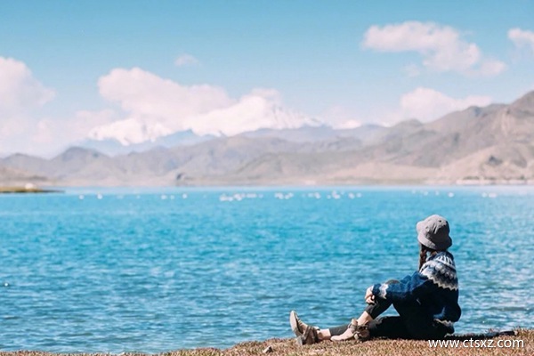 跟團去西藏需要多少錢