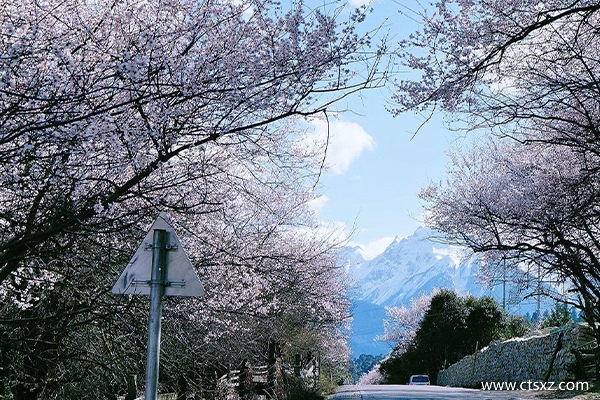 林芝報(bào)團(tuán)旅游