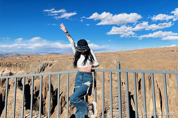 西藏報團(tuán)旅游大約多少錢